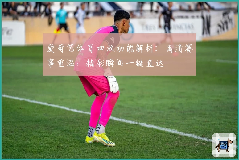 爱奇艺体育回放功能解析：高清赛事重温，精彩瞬间一键直达